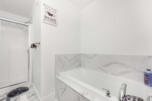 308 Sora Terrace Se, Calgary, AB - Indoor Photo Showing Bathroom