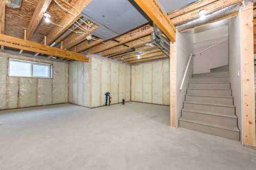 308 Sora Terrace Se, Calgary, AB - Indoor Photo Showing Basement