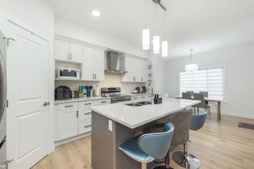 308 Sora Terrace Se, Calgary, AB - Indoor Photo Showing Kitchen With Double Sink With Upgraded Kitchen