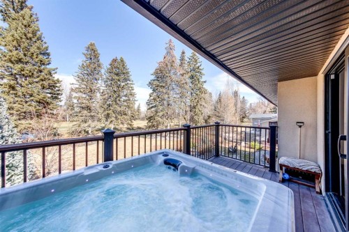 10 Willow Park Green Se, Calgary, AB - Outdoor With Deck Patio Veranda With Exterior