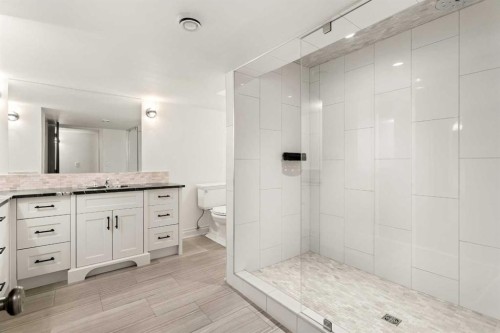 10 Willow Park Green Se, Calgary, AB - Indoor Photo Showing Bathroom