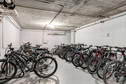 1114-4944 Dalton Drive Nw, Calgary, AB - Indoor Photo Showing Garage