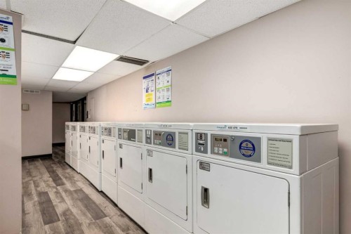 1114-4944 Dalton Drive Nw, Calgary, AB - Indoor Photo Showing Laundry Room