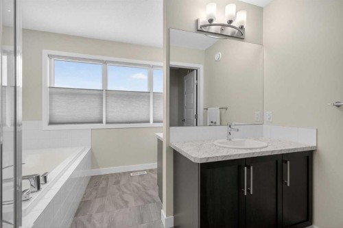 218 Riviera View, Cochrane, AB - Indoor Photo Showing Bathroom