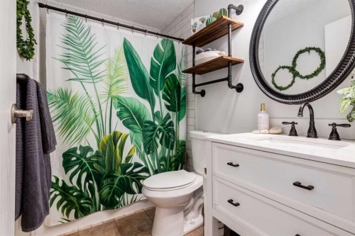 955 Erin Woods Drive Se, Calgary, AB - Indoor Photo Showing Bathroom