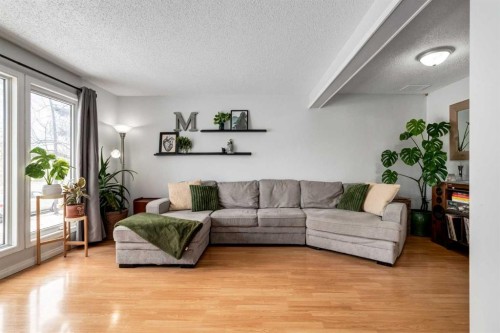955 Erin Woods Drive Se, Calgary, AB - Indoor Photo Showing Living Room