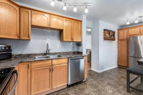 955 Erin Woods Drive Se, Calgary, AB - Indoor Photo Showing Kitchen With Stainless Steel Kitchen With Double Sink