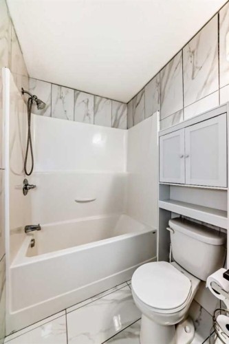 143-300 Marina Drive, Chestermere, AB - Indoor Photo Showing Bathroom