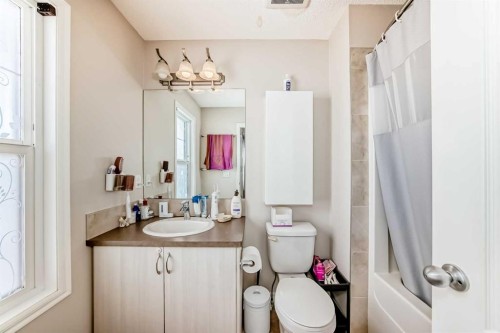234 Legacy Mews Se, Calgary, AB - Indoor Photo Showing Bathroom