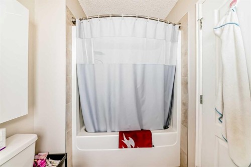 234 Legacy Mews Se, Calgary, AB - Indoor Photo Showing Bathroom