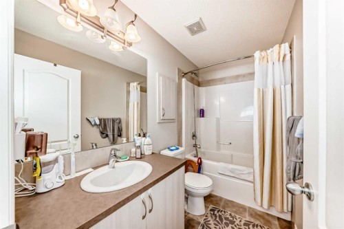 234 Legacy Mews Se, Calgary, AB - Indoor Photo Showing Bathroom