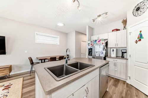 234 Legacy Mews Se, Calgary, AB - Indoor Photo Showing Kitchen With Double Sink