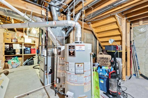224 Macewan Ridge Close Nw, Calgary, AB - Indoor Photo Showing Basement