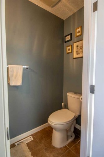 203 Clover Way, Carstairs, AB - Indoor Photo Showing Bathroom