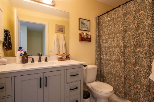 203 Clover Way, Carstairs, AB - Indoor Photo Showing Bathroom