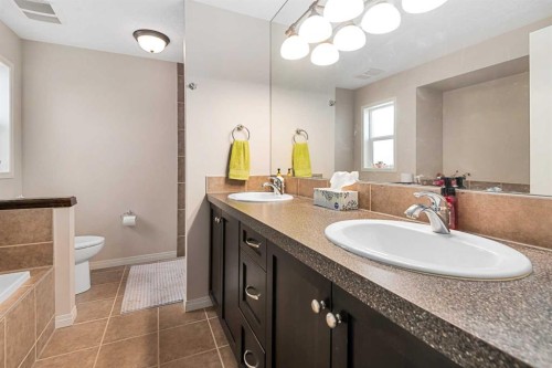 79 Pantego Way Nw, Calgary, AB - Indoor Photo Showing Bathroom