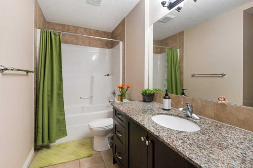 79 Pantego Way Nw, Calgary, AB - Indoor Photo Showing Bathroom