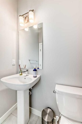 413 Skyview Ranch Circle Ne, Calgary, AB - Indoor Photo Showing Bathroom