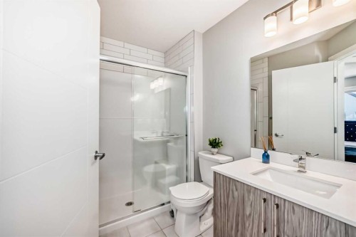 413 Skyview Ranch Circle Ne, Calgary, AB - Indoor Photo Showing Bathroom