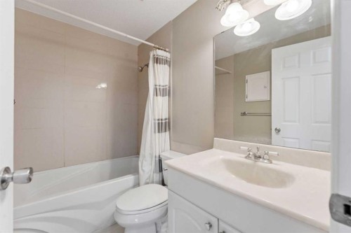 10603 Maplecreek Drive Se, Calgary, AB - Indoor Photo Showing Bathroom