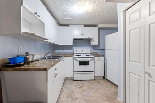48 Falton Way Ne, Calgary, AB - Indoor Photo Showing Kitchen With Double Sink