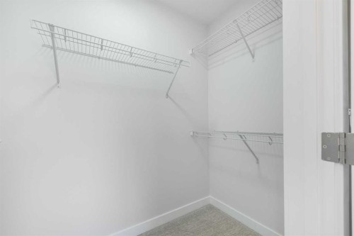 126 Sandpiper Bend, Chestermere, AB - Indoor With Storage