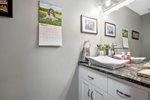 135 Canter Place Sw, Calgary, AB - Indoor Photo Showing Bathroom