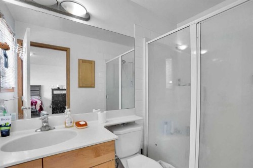 162 Taradale Drive Ne, Calgary, AB - Indoor Photo Showing Bathroom