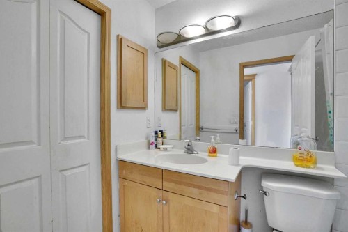 162 Taradale Drive Ne, Calgary, AB - Indoor Photo Showing Bathroom