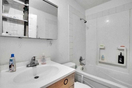 162 Taradale Drive Ne, Calgary, AB - Indoor Photo Showing Bathroom