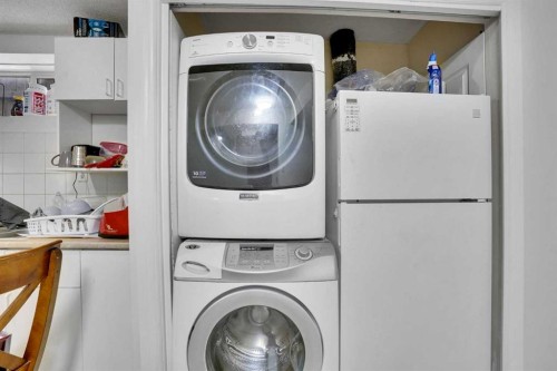 162 Taradale Drive Ne, Calgary, AB - Indoor Photo Showing Laundry Room