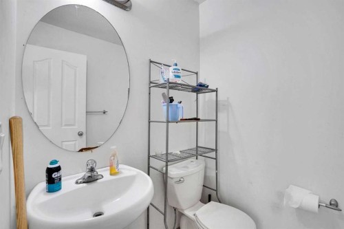 162 Taradale Drive Ne, Calgary, AB - Indoor Photo Showing Bathroom