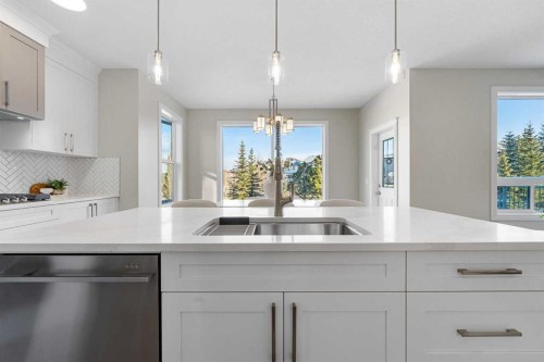 125 Seagreen Passage, Chestermere, AB - Indoor Photo Showing Kitchen With Upgraded Kitchen
