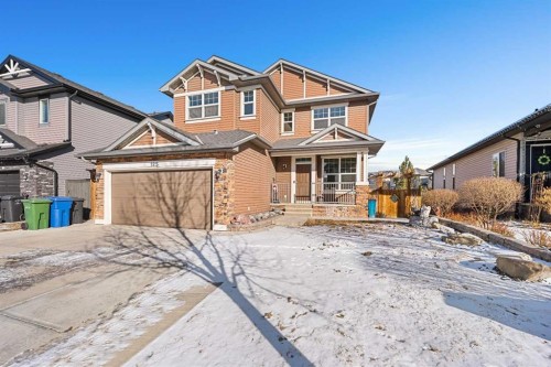 125 Seagreen Passage, Chestermere, AB - Outdoor