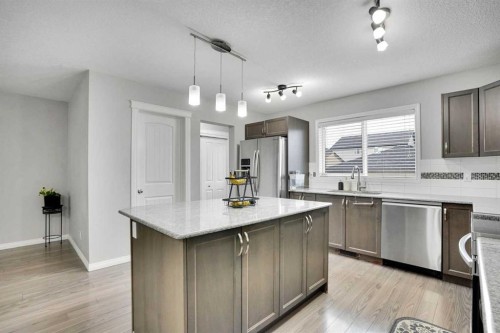 44 Skyview Ranch Lane Ne, Calgary, AB - Indoor Photo Showing Kitchen With Stainless Steel Kitchen With Upgraded Kitchen