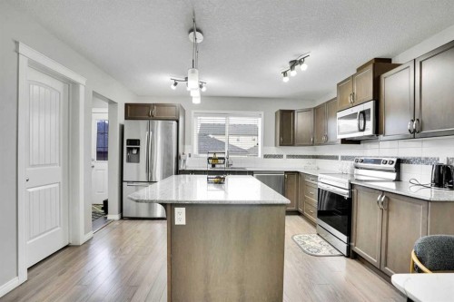 44 Skyview Ranch Lane Ne, Calgary, AB - Indoor Photo Showing Kitchen With Stainless Steel Kitchen With Upgraded Kitchen