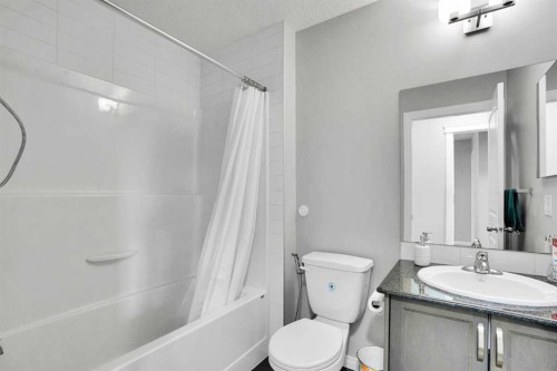 44 Skyview Ranch Lane Ne, Calgary, AB - Indoor Photo Showing Bathroom