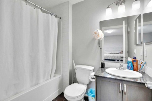 44 Skyview Ranch Lane Ne, Calgary, AB - Indoor Photo Showing Bathroom