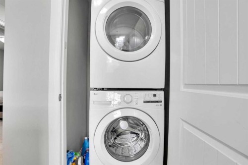 44 Skyview Ranch Lane Ne, Calgary, AB - Indoor Photo Showing Laundry Room