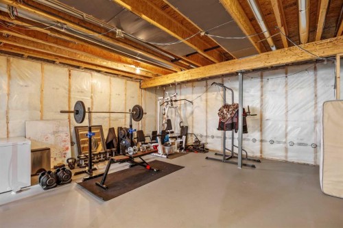 192 Nolanhurst Heights Nw, Calgary, AB - Indoor Photo Showing Basement
