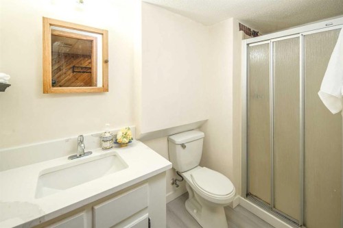 20 Bernard Way Nw, Calgary, AB - Indoor Photo Showing Bathroom