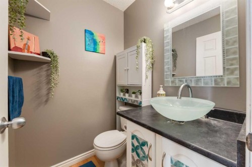 41 Harvest Glen Heights Ne, Calgary, AB - Indoor Photo Showing Bathroom
