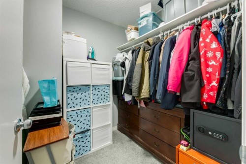 41 Harvest Glen Heights Ne, Calgary, AB - Indoor With Storage