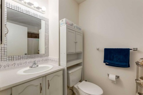 41 Harvest Glen Heights Ne, Calgary, AB - Indoor Photo Showing Bathroom