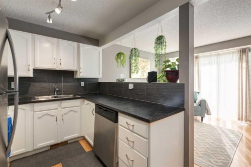 41 Harvest Glen Heights Ne, Calgary, AB - Indoor Photo Showing Kitchen With Double Sink
