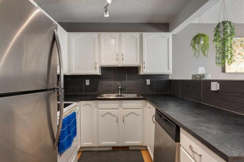 41 Harvest Glen Heights Ne, Calgary, AB - Indoor Photo Showing Kitchen With Double Sink