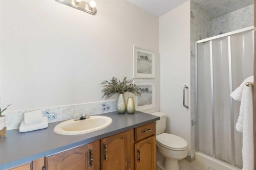 12 Castlefall Road Ne, Calgary, AB - Indoor Photo Showing Bathroom
