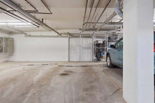 213-20 Walgrove Walk Se, Calgary, AB - Indoor Photo Showing Garage