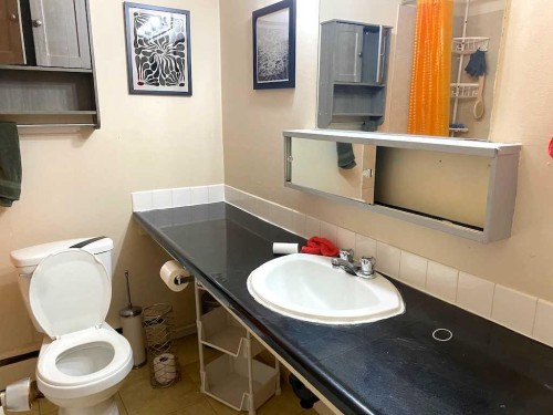 1917 5 Street Sw, Calgary, AB - Indoor Photo Showing Bathroom