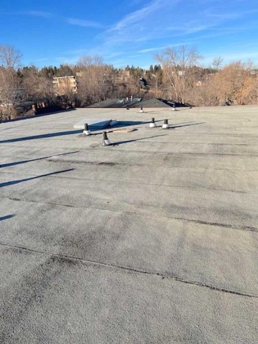 1917 5 Street Sw, Calgary, AB - Outdoor